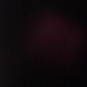 Meet your Posher, Junebug